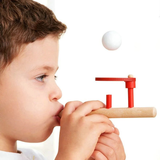 ToyZone™ Wooden Floting Ball
